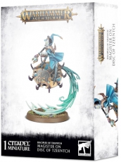 Magister on Disc of Tzeentch