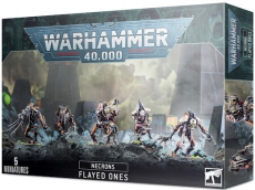 49-42 Necrons Flayed Ones