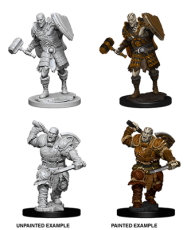 D&D NMM Goliath Fighter male