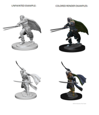 D&D NMM Elf Ranger male
