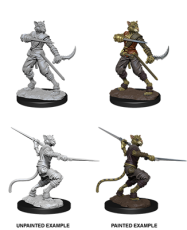 D&D NMM Tabaxi Rogue male