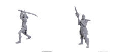 D&D BG3 NMM Laezel & Shadowheart