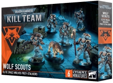 102-11 KT Wolf Scouts
