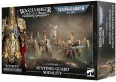 77-07 Custodes Sentinel Guard Sodality