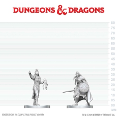 D&D NMM Drow Elite Warrior and Priestess