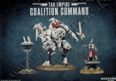 Tau Empire Coalition Command