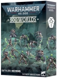 49-51 500 World Battalion Necrons