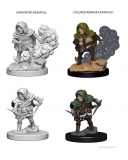 D&D NMM Halfling Male Rogue
