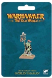 09-12 WH Old World Goblin Shaman
