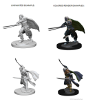 D&D NMM Elf Ranger male