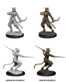 D&D NMM Tabaxi Rogue male