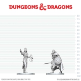 D&D NMM Drow Elite Warrior and Priestess